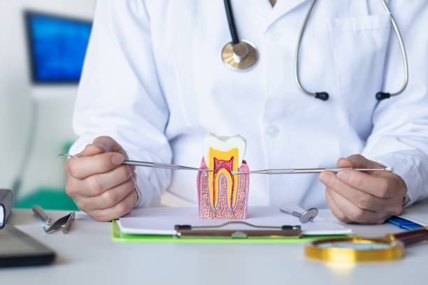 Best Weekend Emergency Dentist in Pioneer, CA